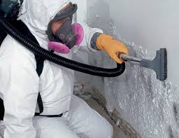 Best Post-Construction Mold Inspection  in USA